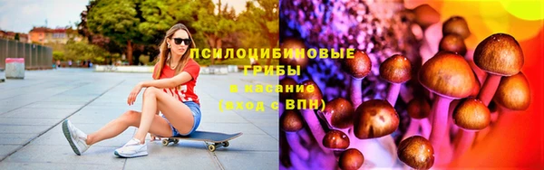 PSILOCYBIN Алзамай