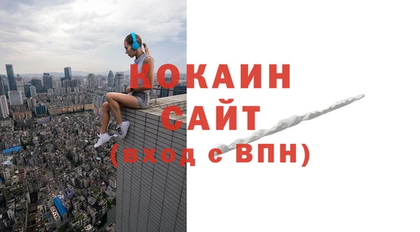 сатива Рославль