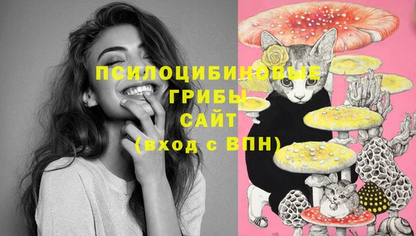 мет Алексин