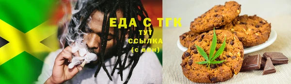 PSILOCYBIN Алзамай