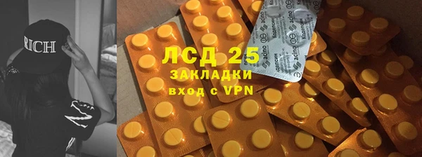 PSILOCYBIN Алзамай