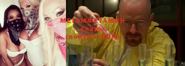 мет Алексин