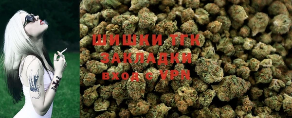 PSILOCYBIN Алзамай