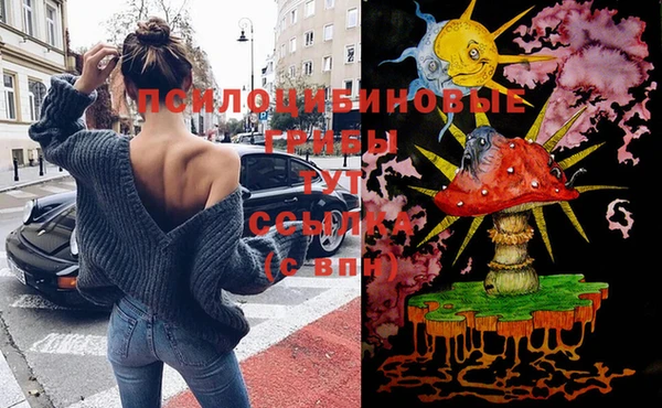 кокс Алексеевка