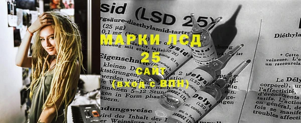 PSILOCYBIN Алзамай