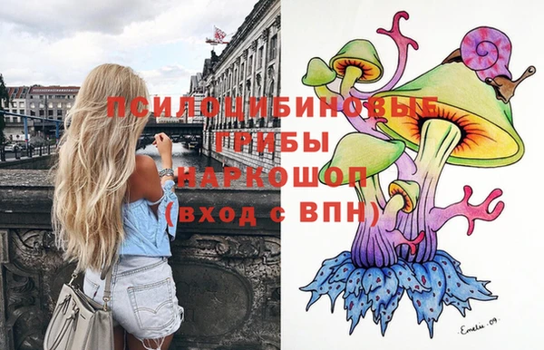 мет Алексин